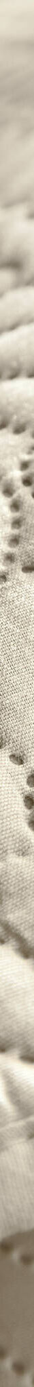 Couvre-lit matelassé microfibre motif géométrique (beige) Couvre-lit matelassé microfibre motif géométrique (beige)